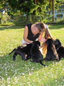 Alle hvalpe elsker langt h�r...